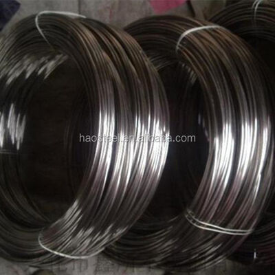 Cables de acero inoxidable 304 316 316L 316Ti 309s 310S suave Brillante Matt 0,05-20mm