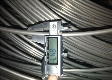 El tubo inconsútil de la bobina del acero inoxidable de SUS304 304L 316L arrolló el tubo del cambiador de calor